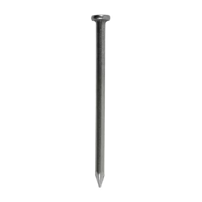 Clavos de acero 2.5mm x 20 mm (100/1)